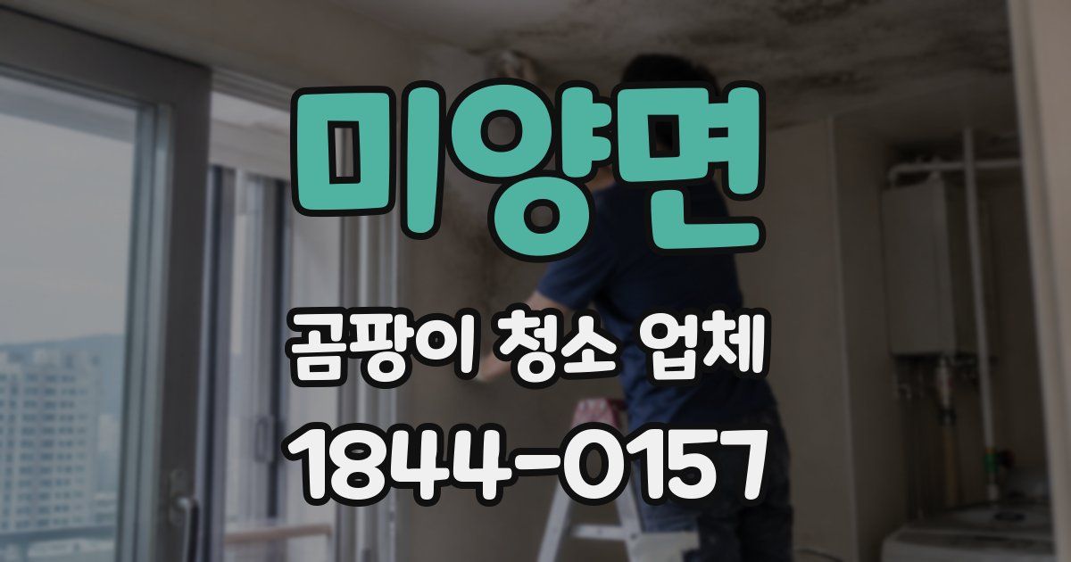 미양면 곰팡이 청소 업체