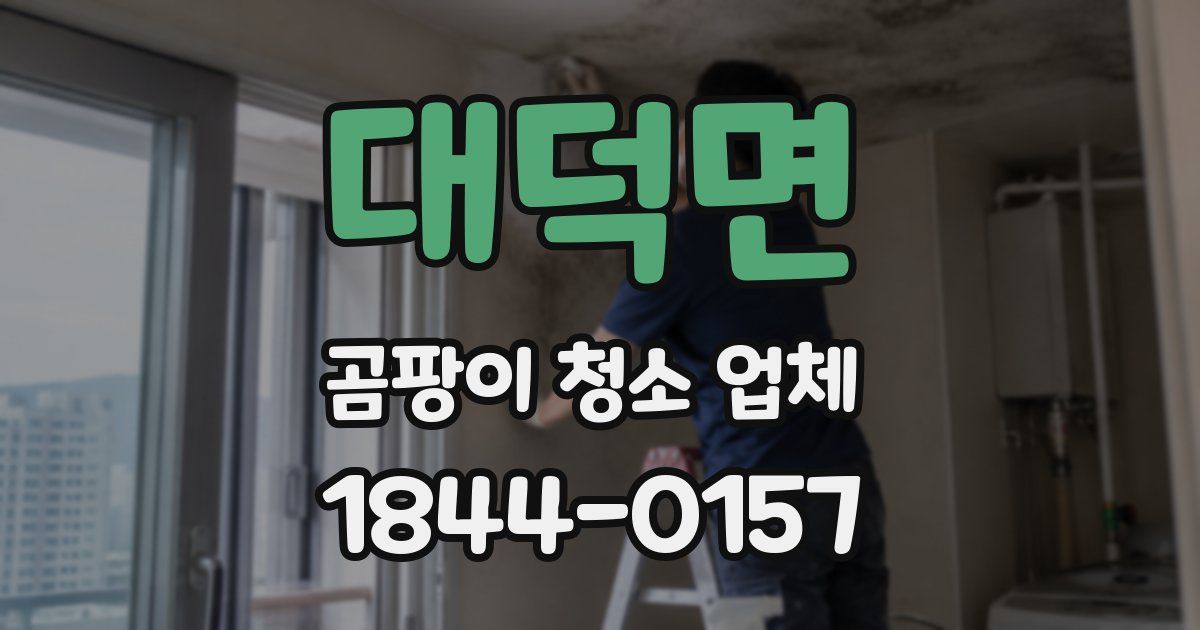 대덕면 곰팡이 청소 업체
