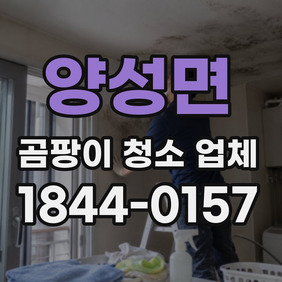 양성면 곰팡이 청소 업체