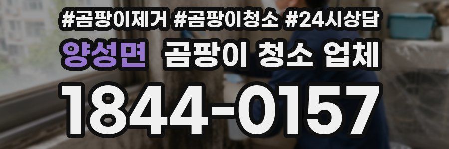 양성면 곰팡이 청소 업체
