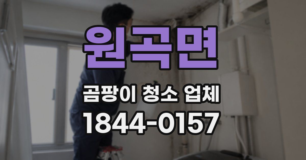 원곡면 곰팡이 청소 업체