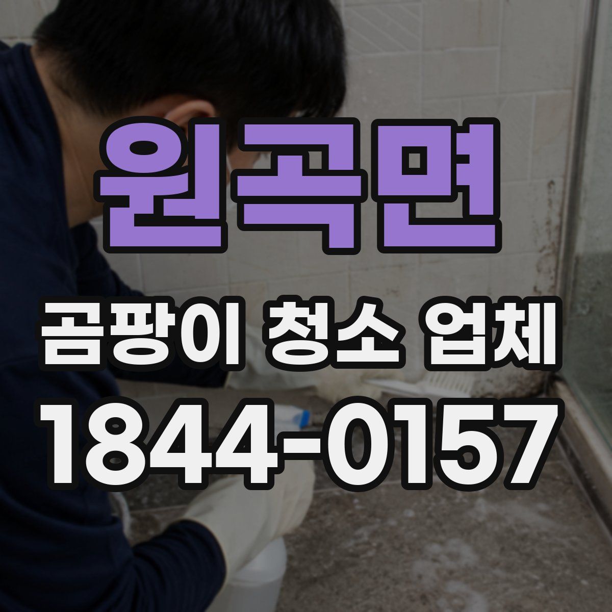 원곡면 곰팡이 청소 업체