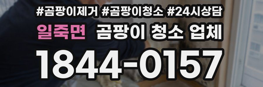 일죽면 곰팡이 청소 업체