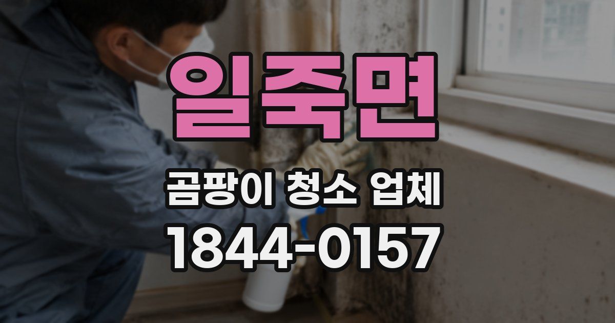 일죽면 곰팡이 청소 업체