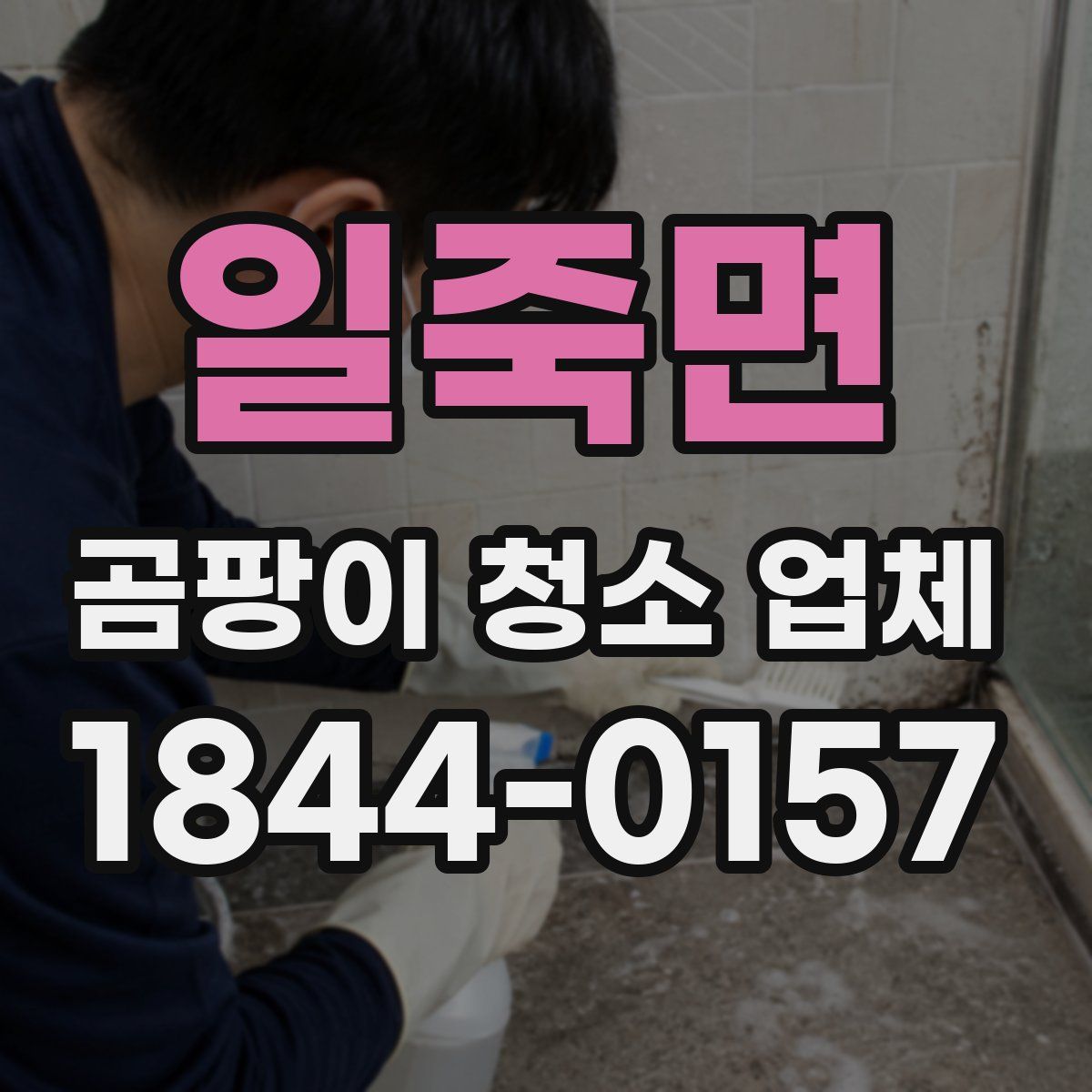 일죽면 곰팡이 청소 업체