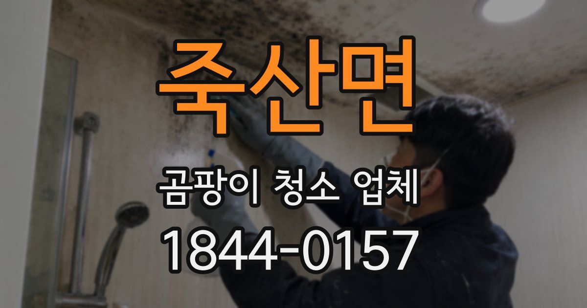 죽산면 곰팡이 청소 업체