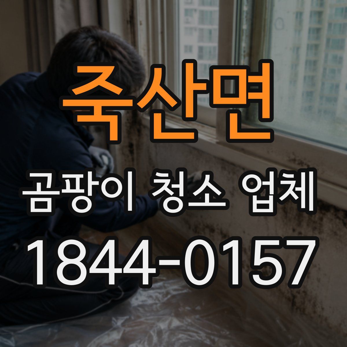 죽산면 곰팡이 청소 업체