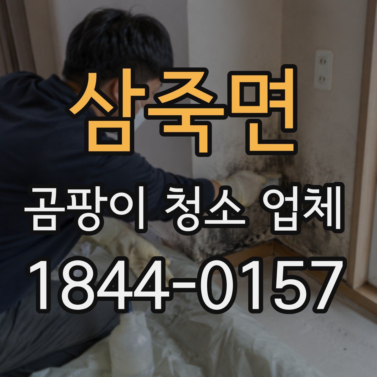 삼죽면 곰팡이 청소 업체