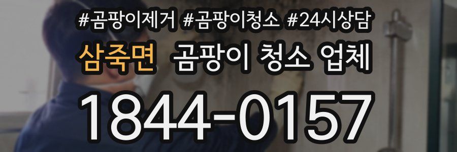 삼죽면 곰팡이 청소 업체
