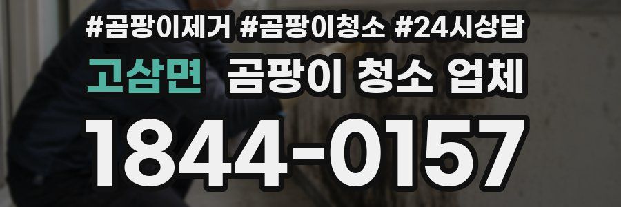 고삼면 곰팡이 청소 업체
