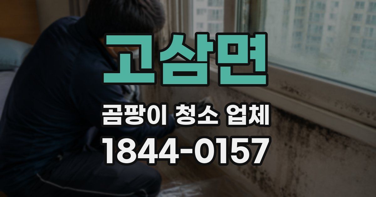 고삼면 곰팡이 청소 업체