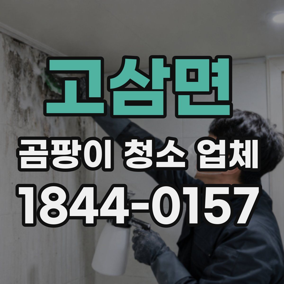 고삼면 곰팡이 청소 업체