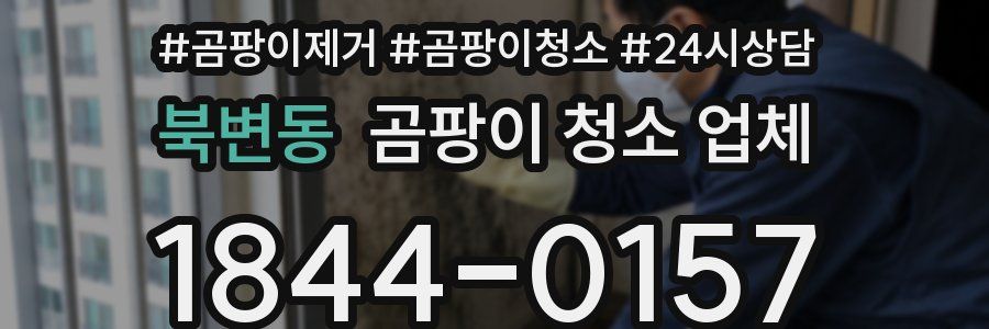 북변동 곰팡이 청소 업체