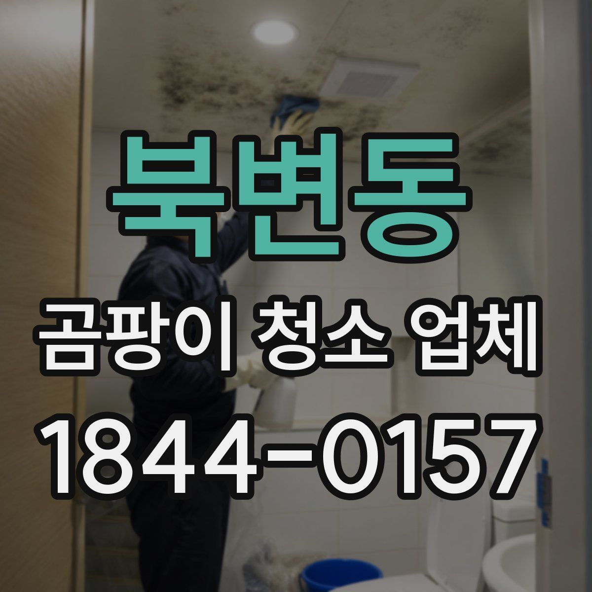 북변동 곰팡이 청소 업체