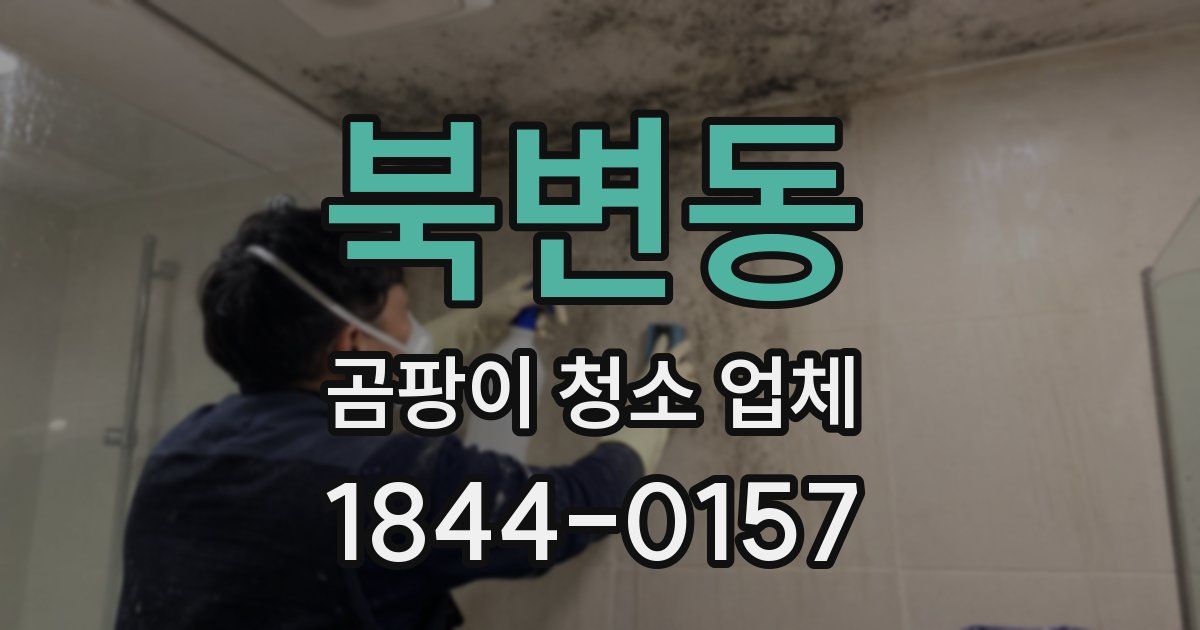 북변동 곰팡이 청소 업체