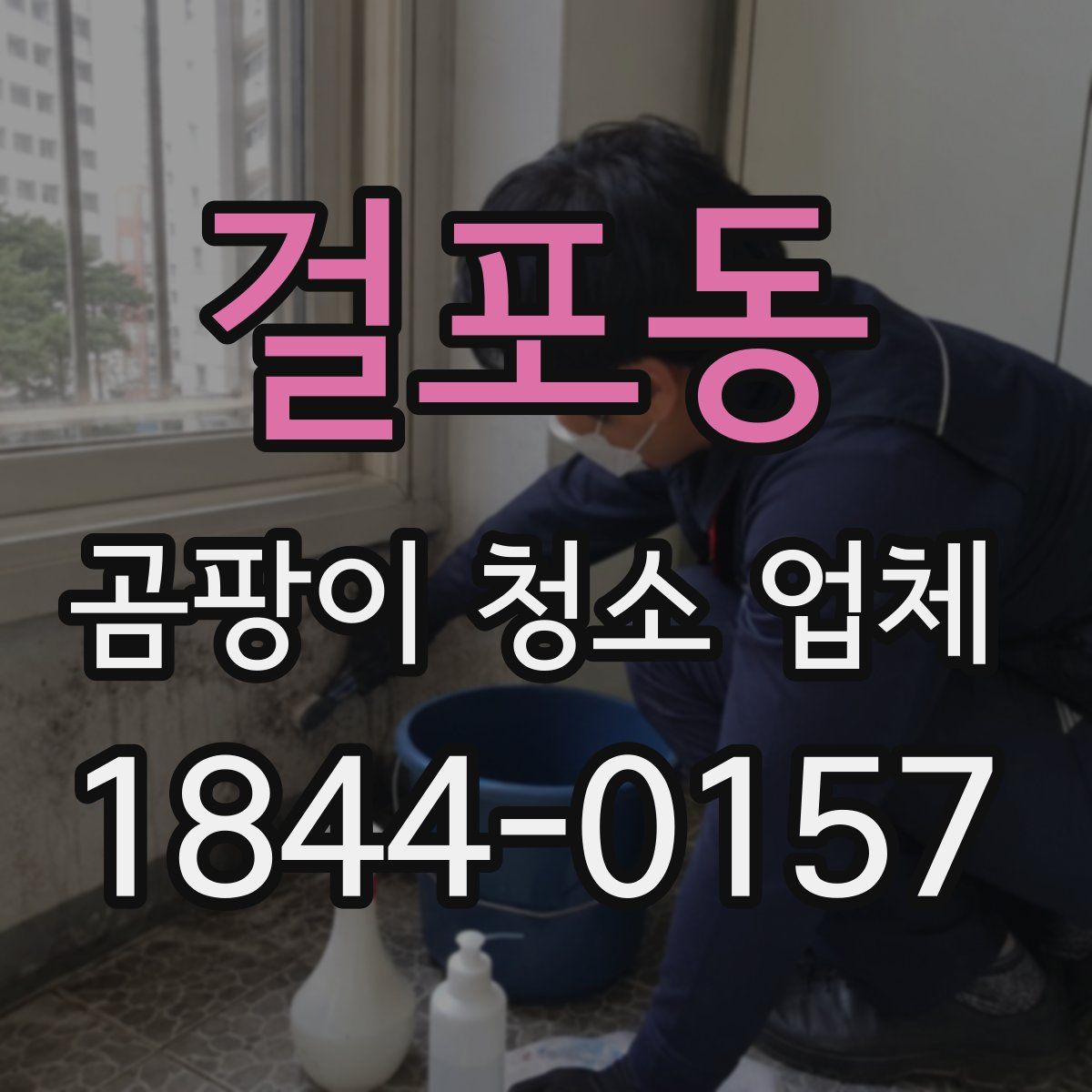 걸포동 곰팡이 청소 업체