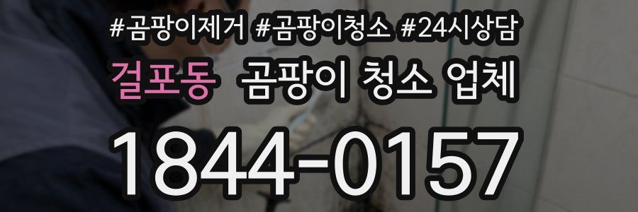 걸포동 곰팡이 청소 업체
