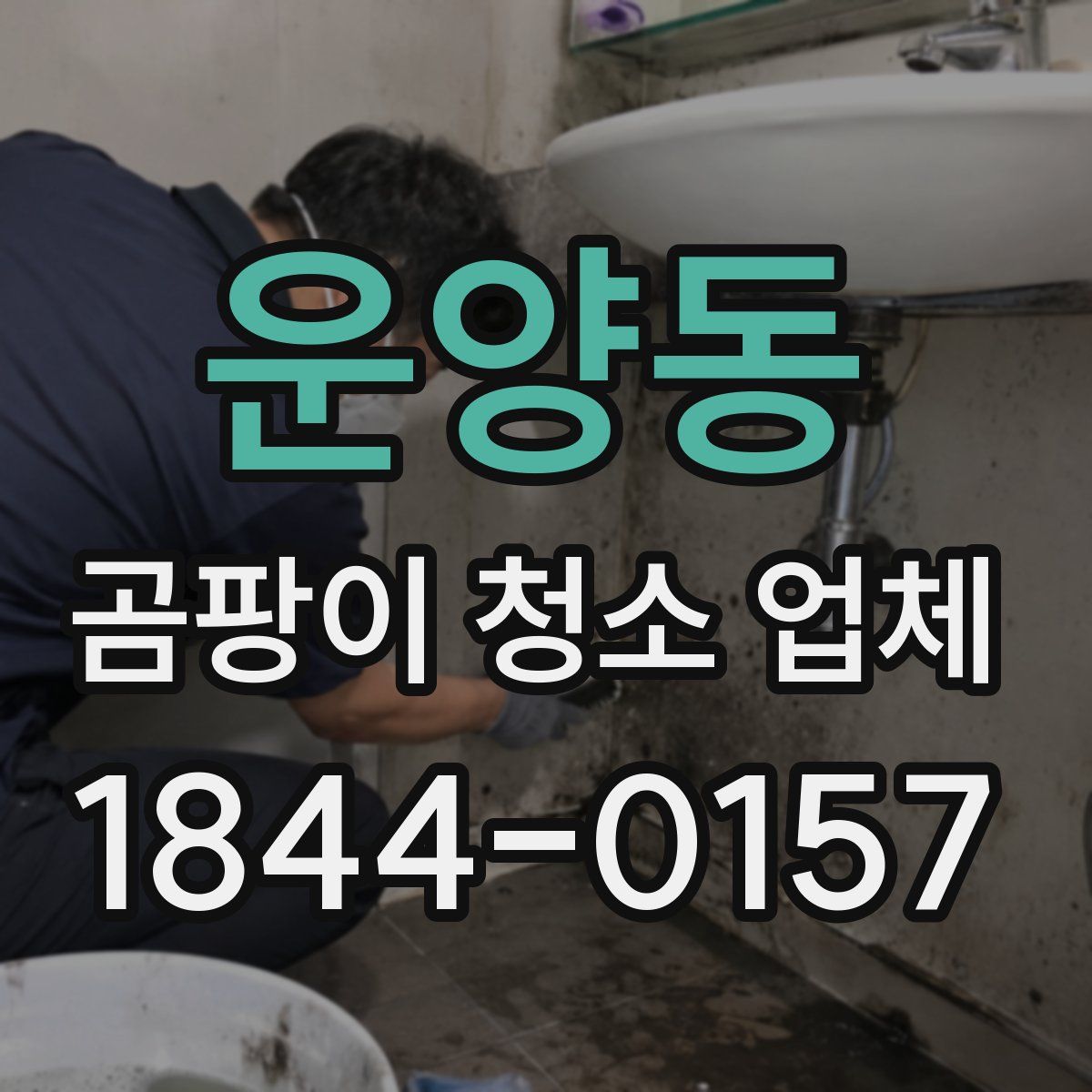 운양동 곰팡이 청소 업체
