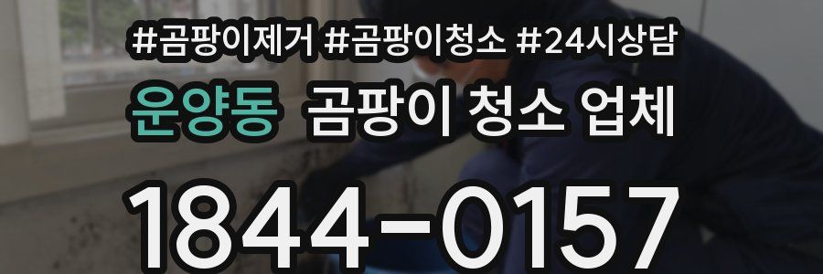 운양동 곰팡이 청소 업체