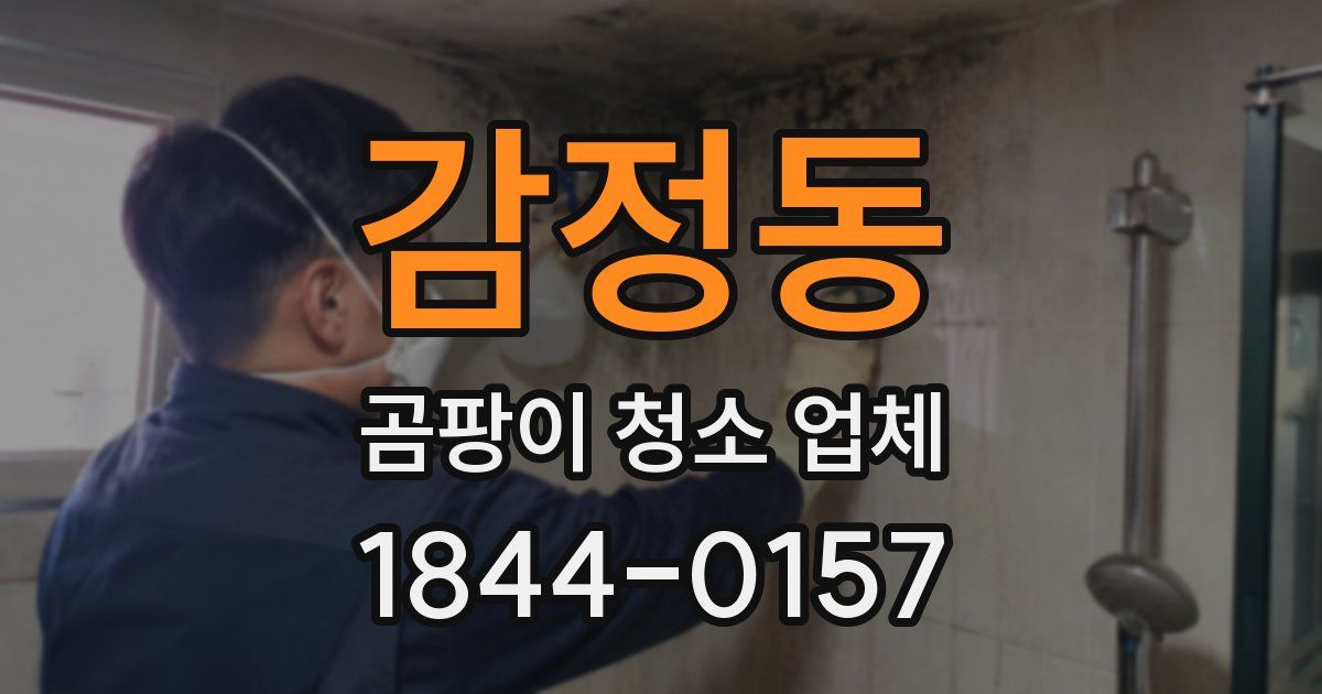 감정동 곰팡이 청소 업체