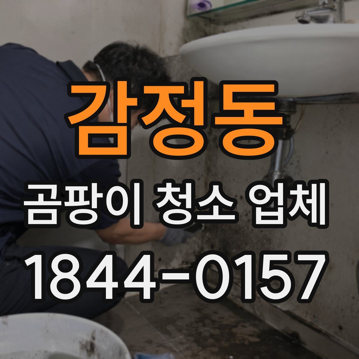 감정동 곰팡이 청소 업체