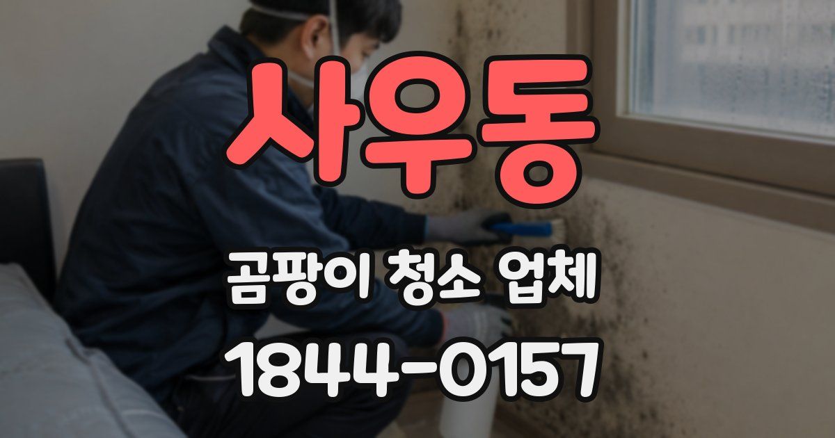 사우동 곰팡이 청소 업체