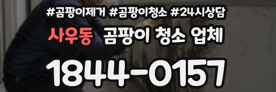 사우동 곰팡이 청소 업체