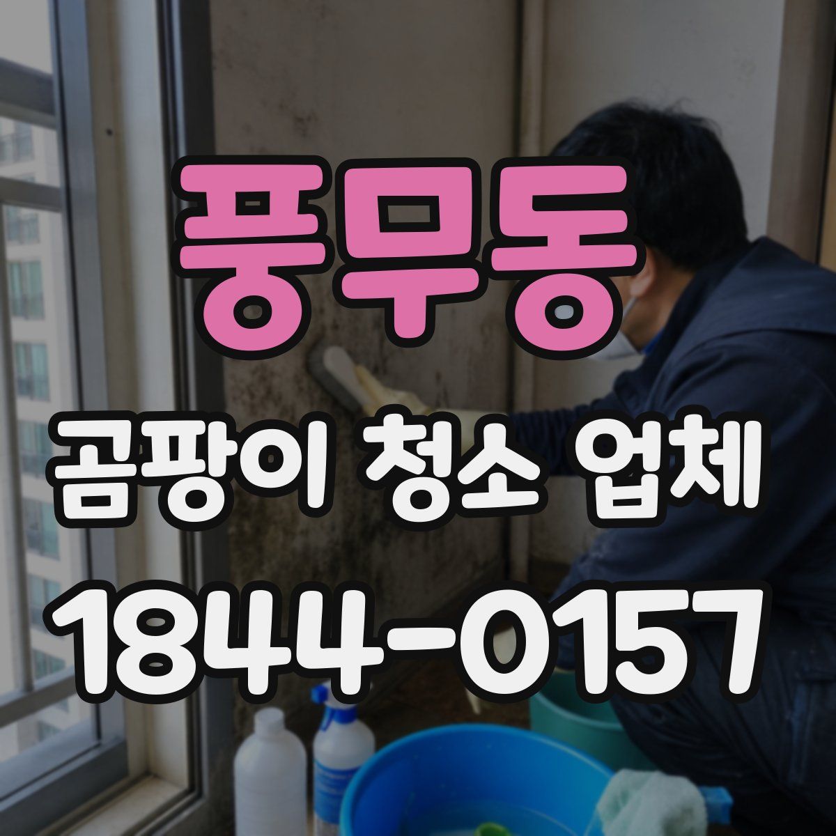 풍무동 곰팡이 청소 업체