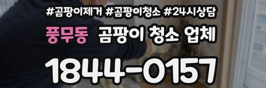 풍무동 곰팡이 청소 업체