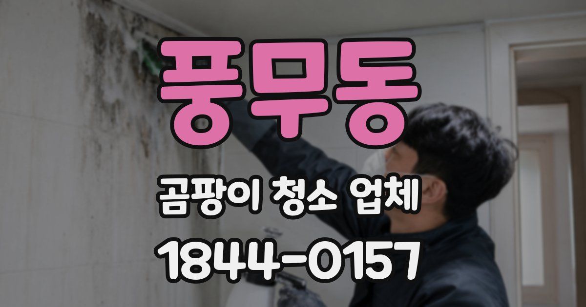 풍무동 곰팡이 청소 업체