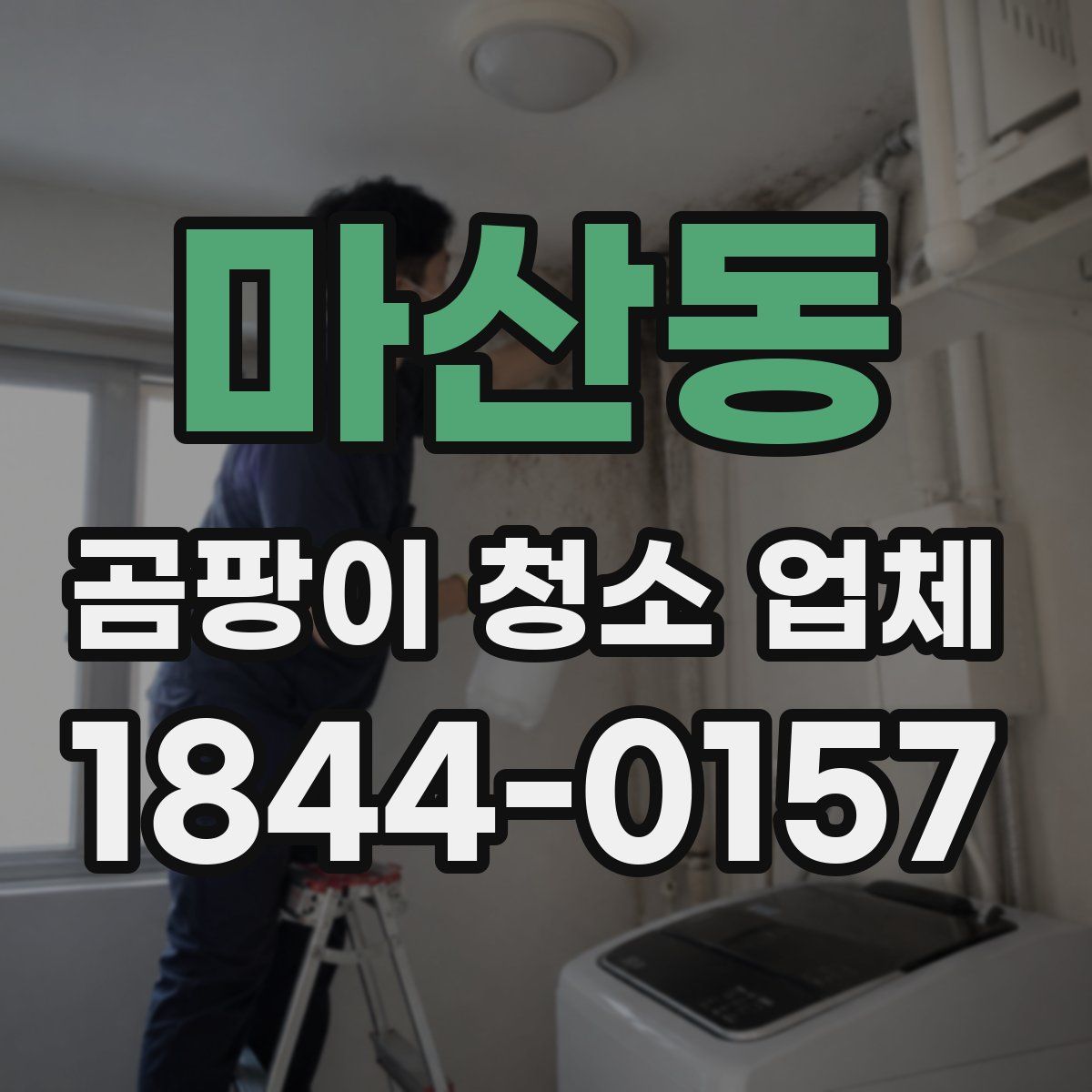 마산동 곰팡이 청소 업체