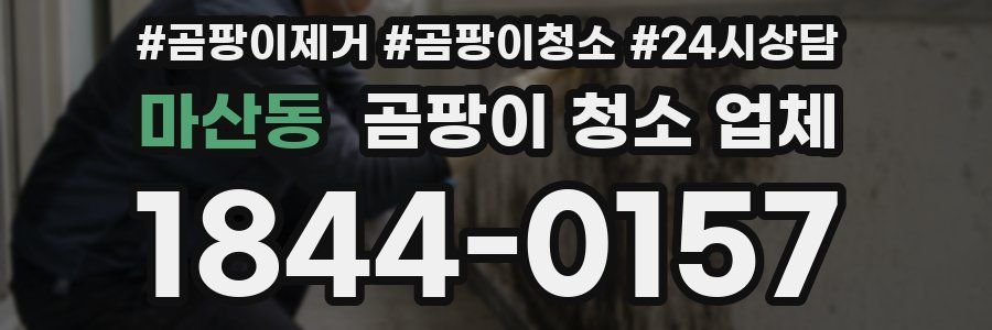 마산동 곰팡이 청소 업체