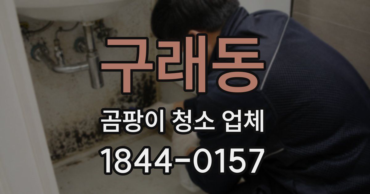 구래동 곰팡이 청소 업체