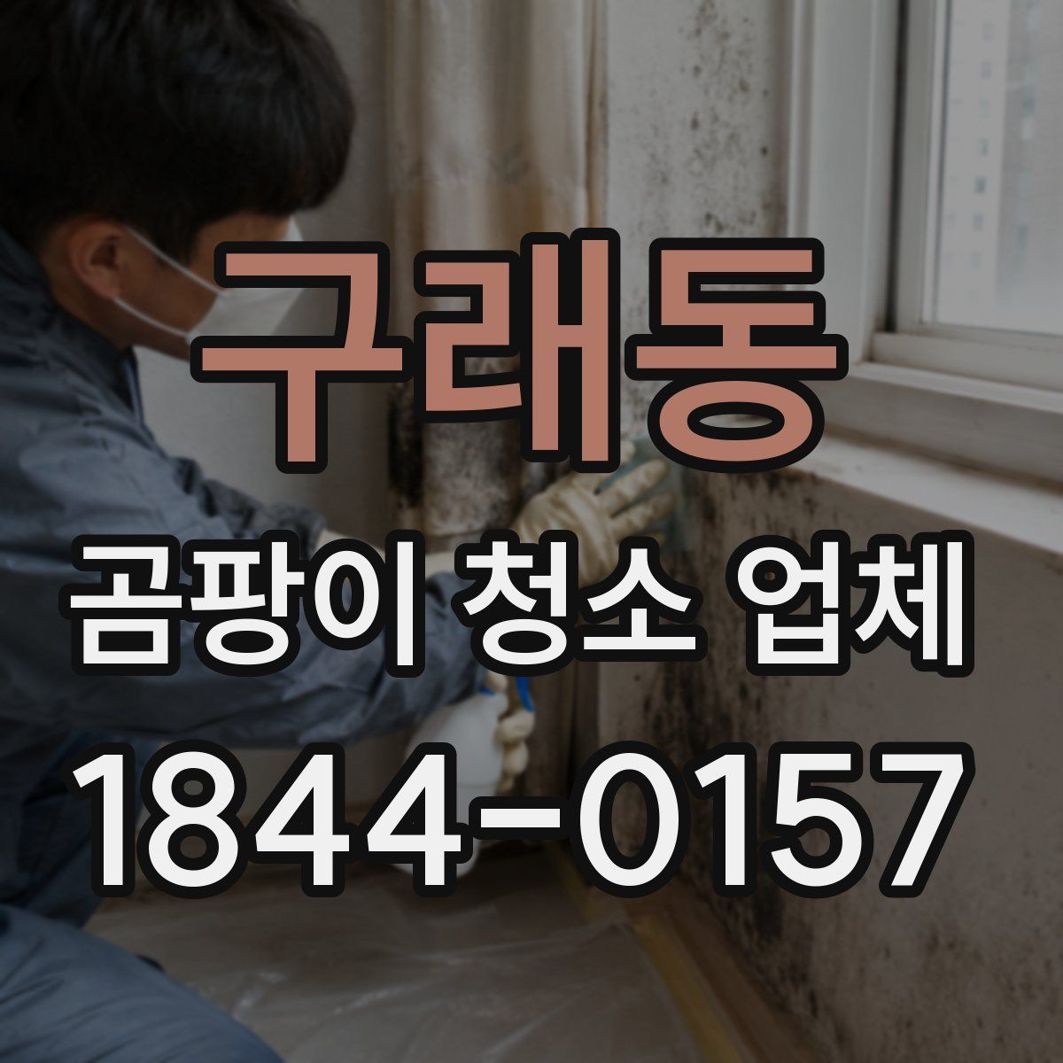 구래동 곰팡이 청소 업체