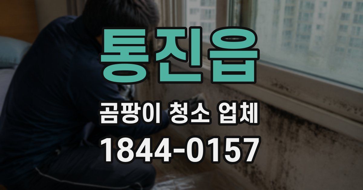 통진읍 곰팡이 청소 업체