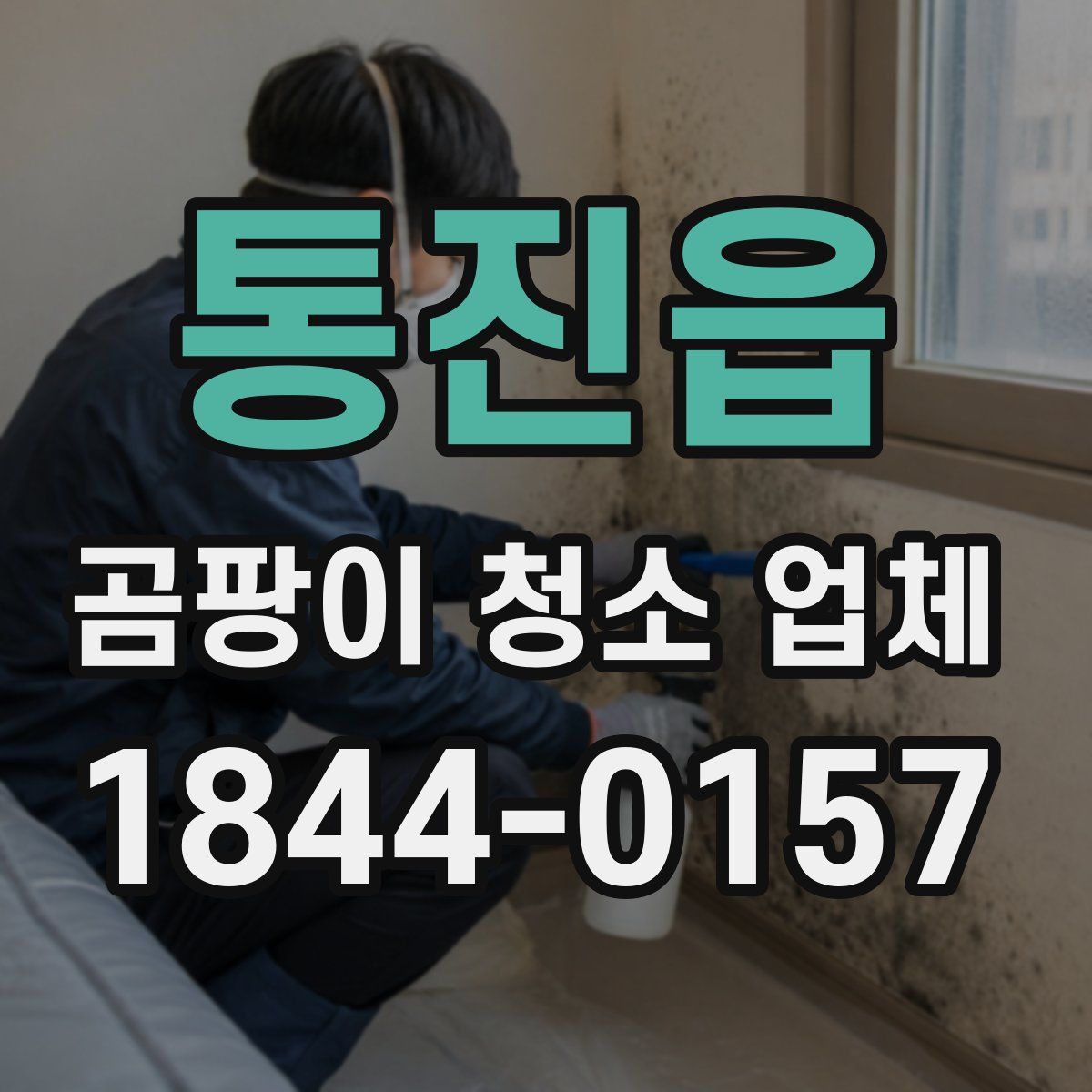 통진읍 곰팡이 청소 업체
