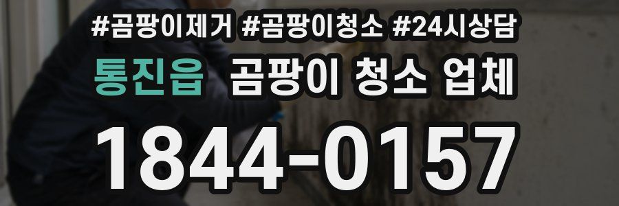 통진읍 곰팡이 청소 업체
