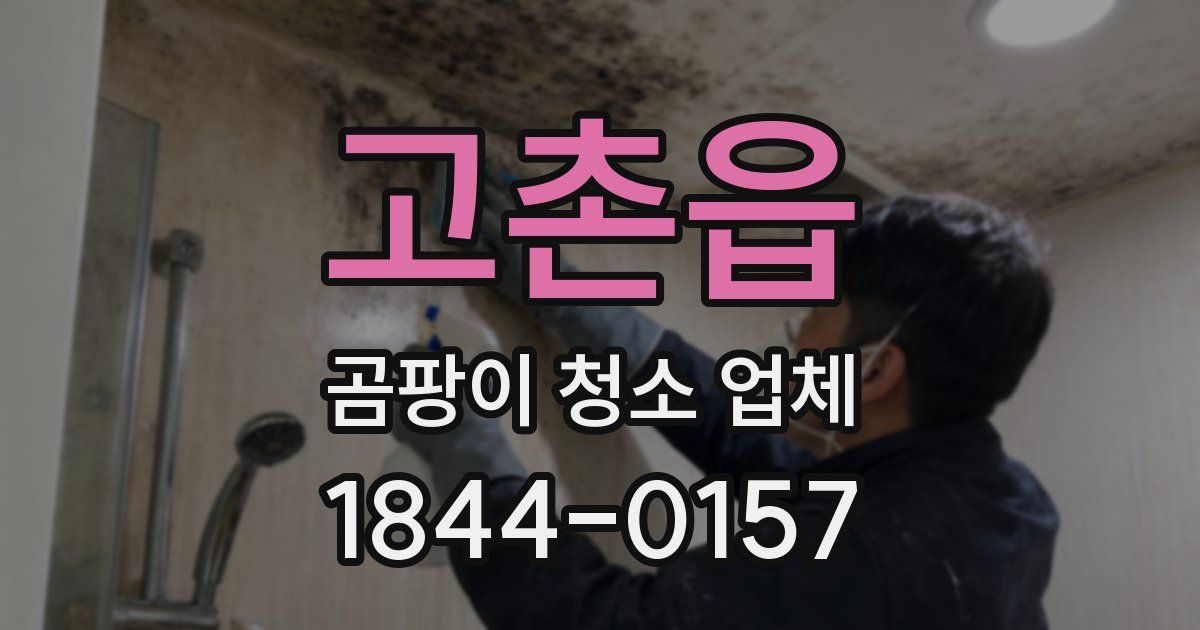 고촌읍 곰팡이 청소 업체