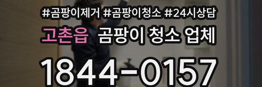 고촌읍 곰팡이 청소 업체
