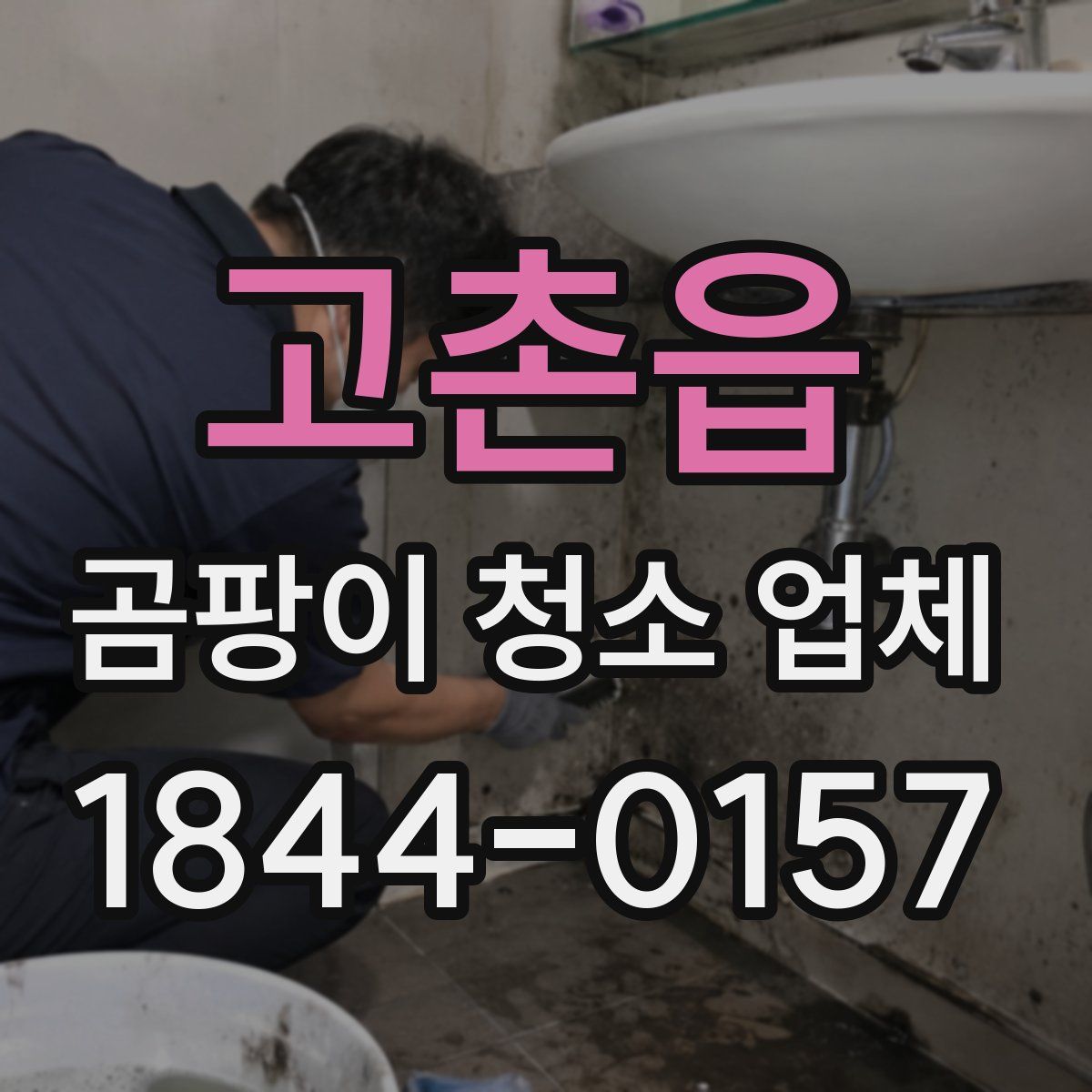 고촌읍 곰팡이 청소 업체