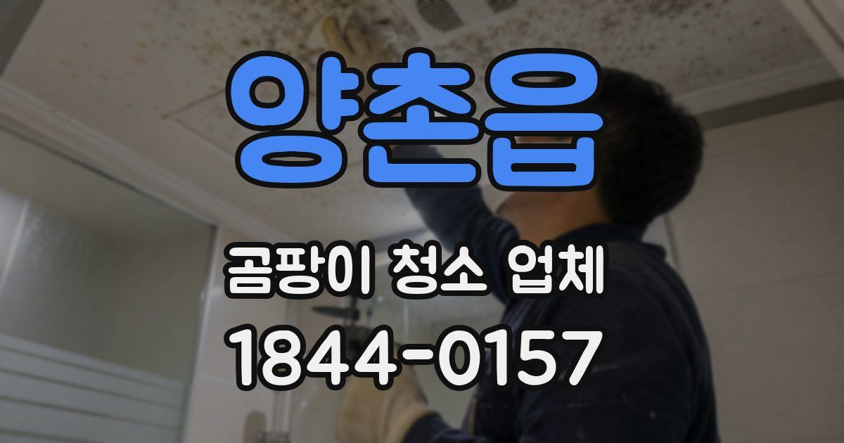 양촌읍 곰팡이 청소 업체