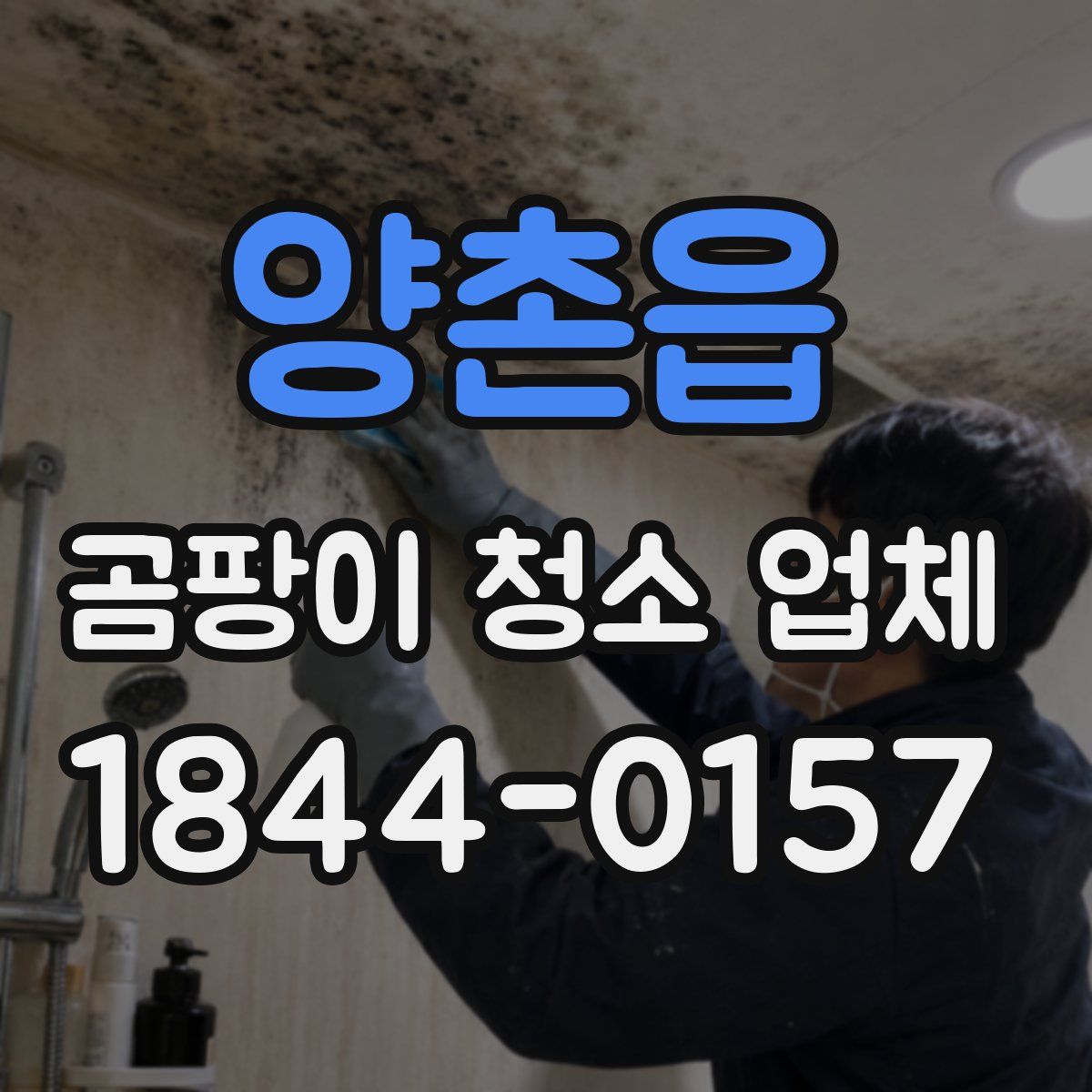 양촌읍 곰팡이 청소 업체