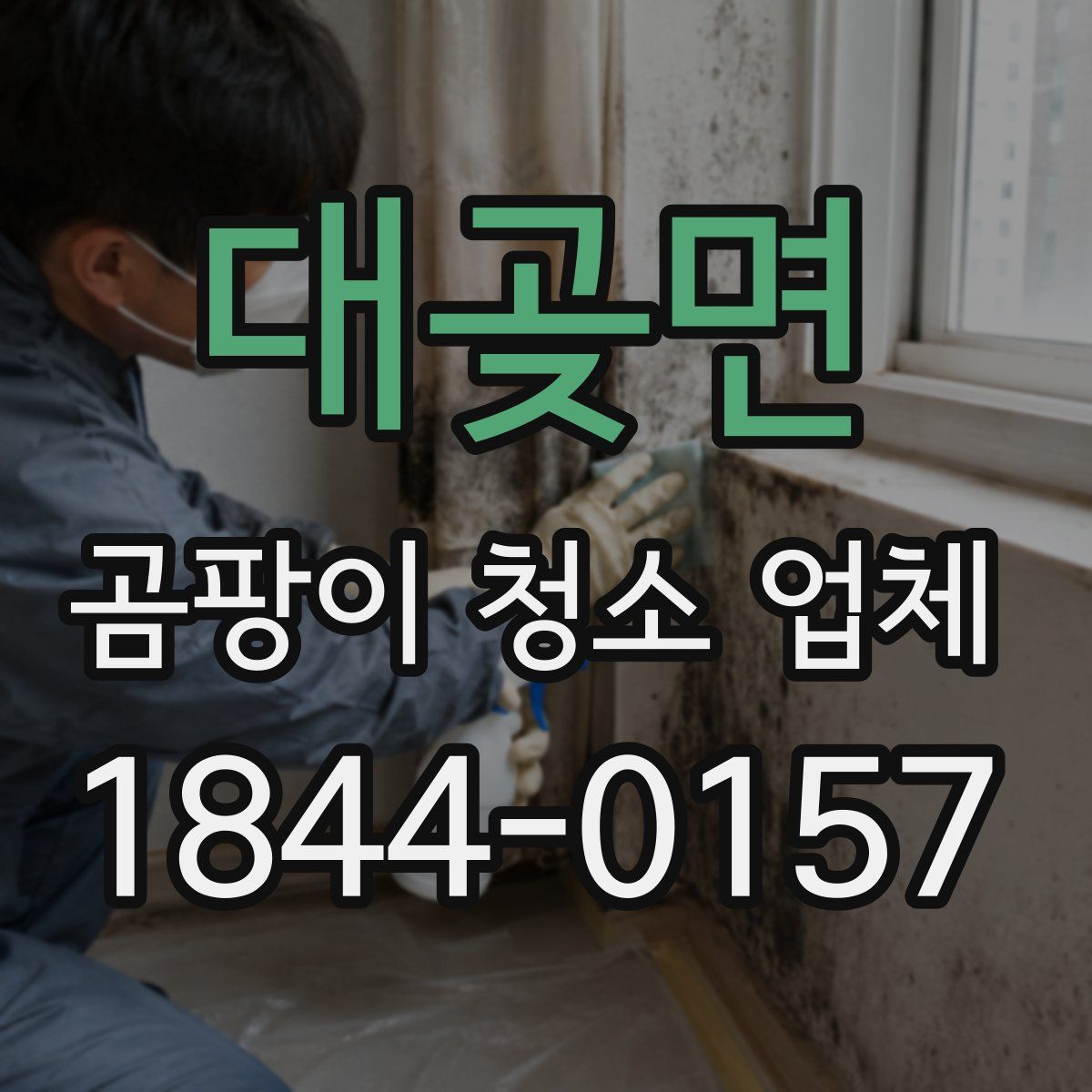대곶면 곰팡이 청소 업체