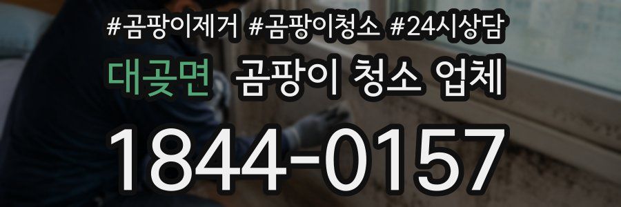 대곶면 곰팡이 청소 업체