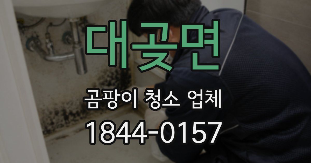 대곶면 곰팡이 청소 업체