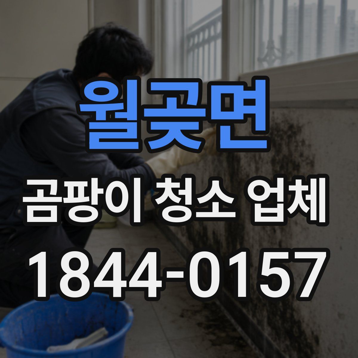 월곶면 곰팡이 청소 업체
