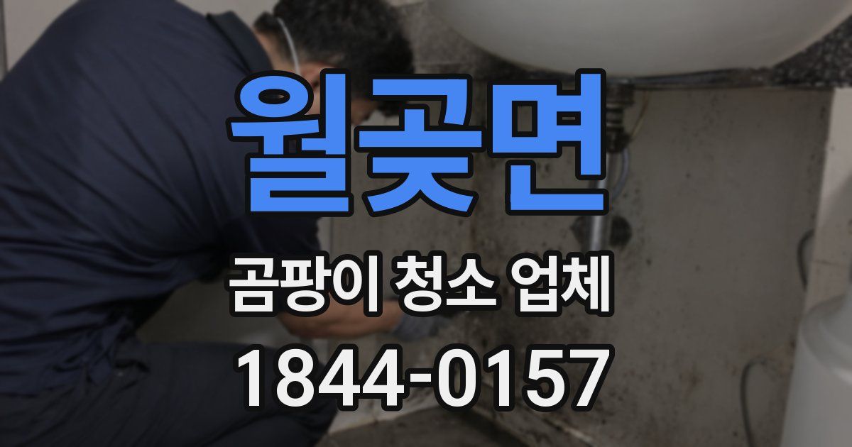 월곶면 곰팡이 청소 업체