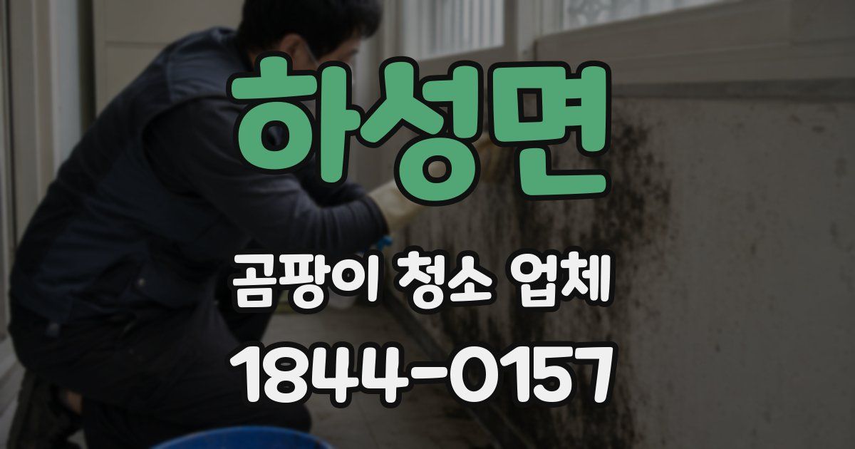 하성면 곰팡이 청소 업체