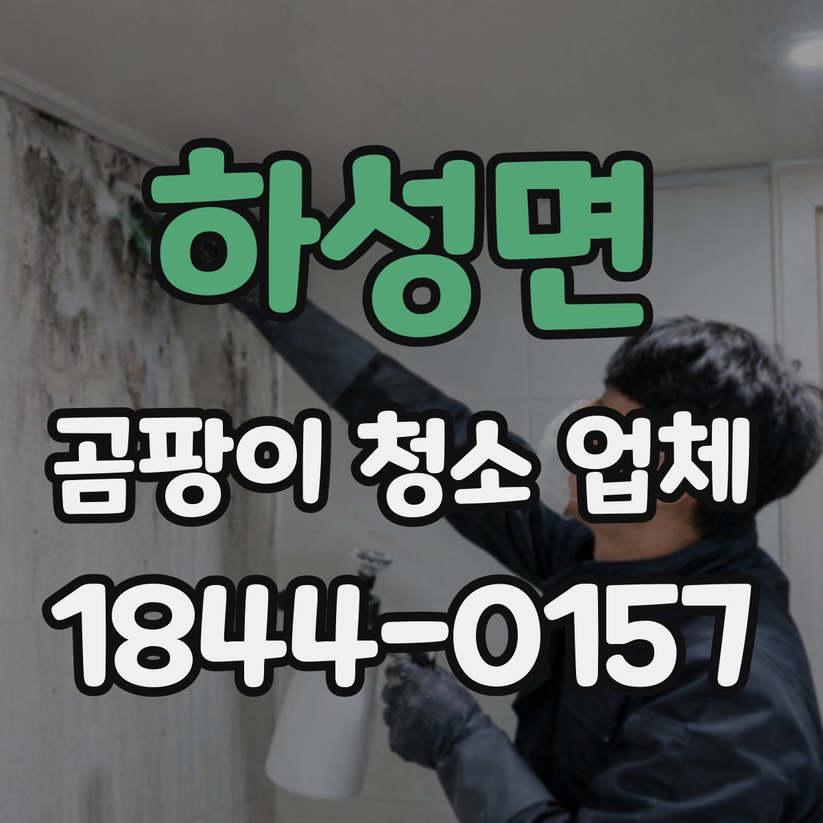 하성면 곰팡이 청소 업체