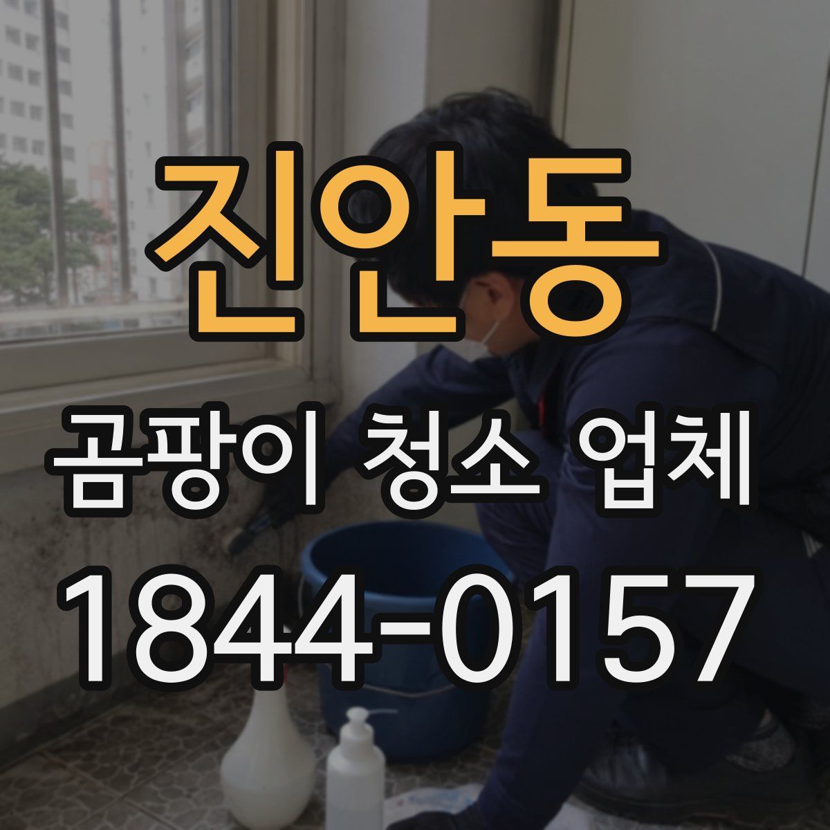 진안동 곰팡이 청소 업체